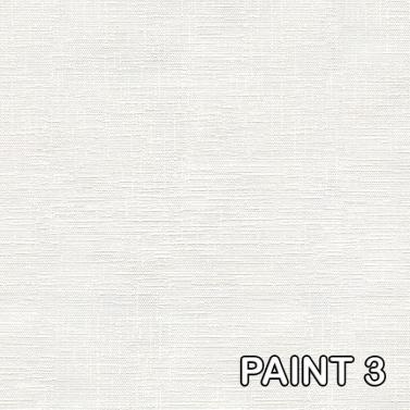 Astor Astor - paint3