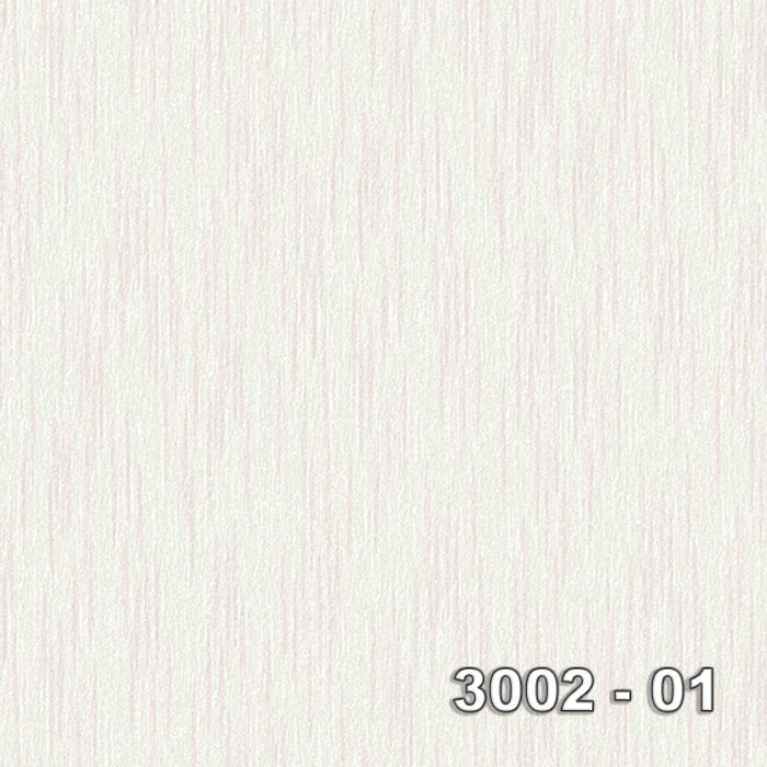 Armani 3002-01
