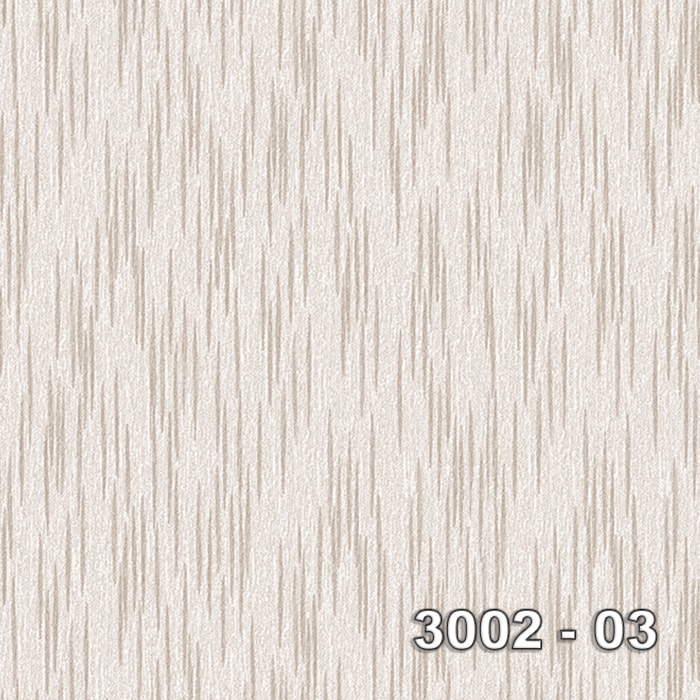 Armani 3002-03