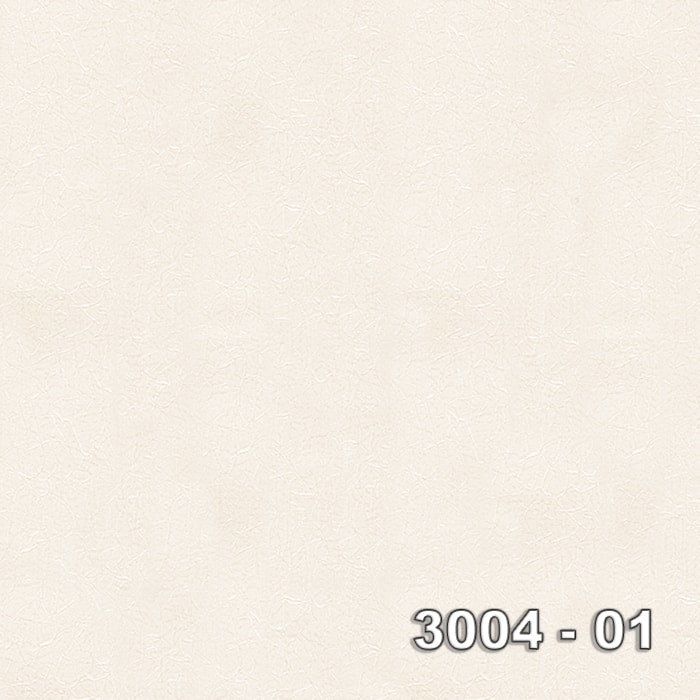 Armani 3004-01