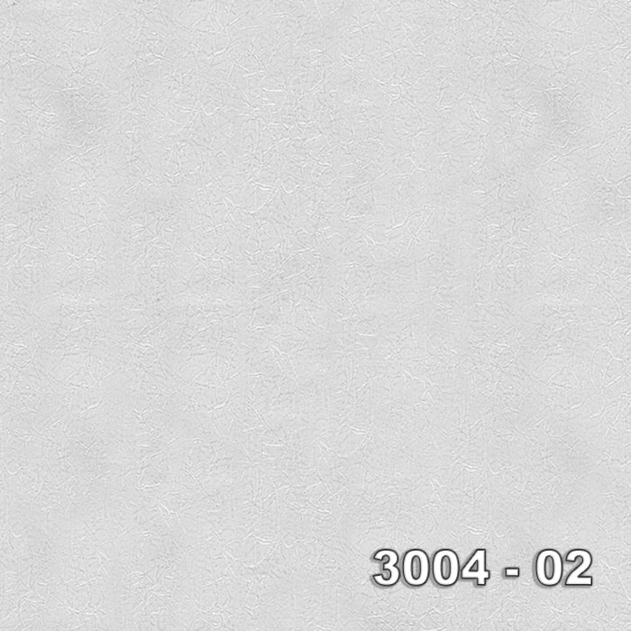 Armani 3004-02