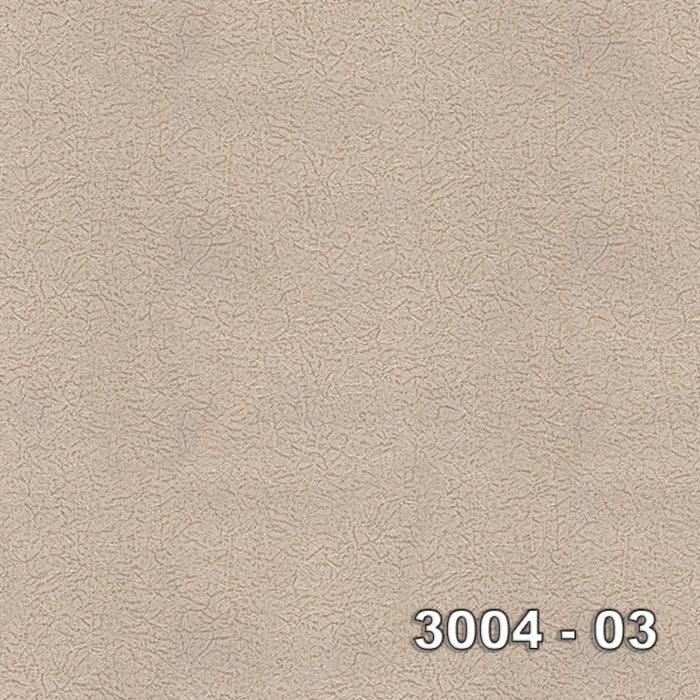 Armani 3004-03
