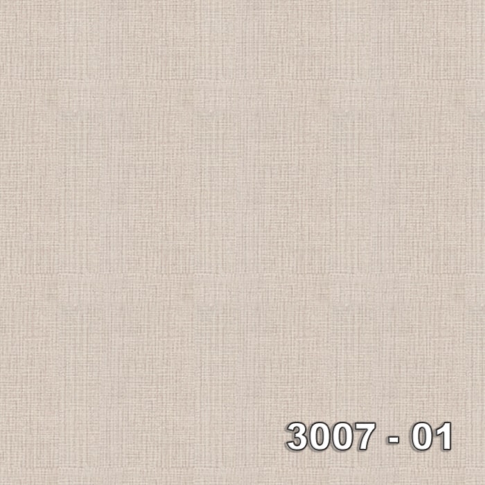 Armani 3007-01