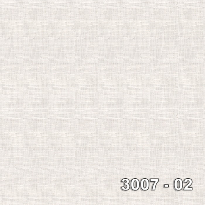 Armani 3007-02