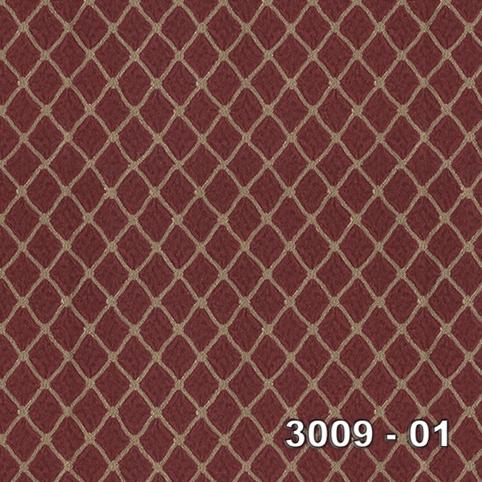 Armani 3009-01 3009-01