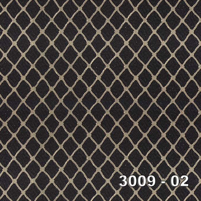 Armani 3009-02 3009-02