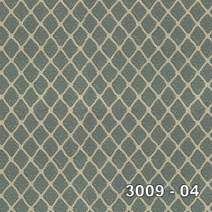Armani 3009-04 3009-04
