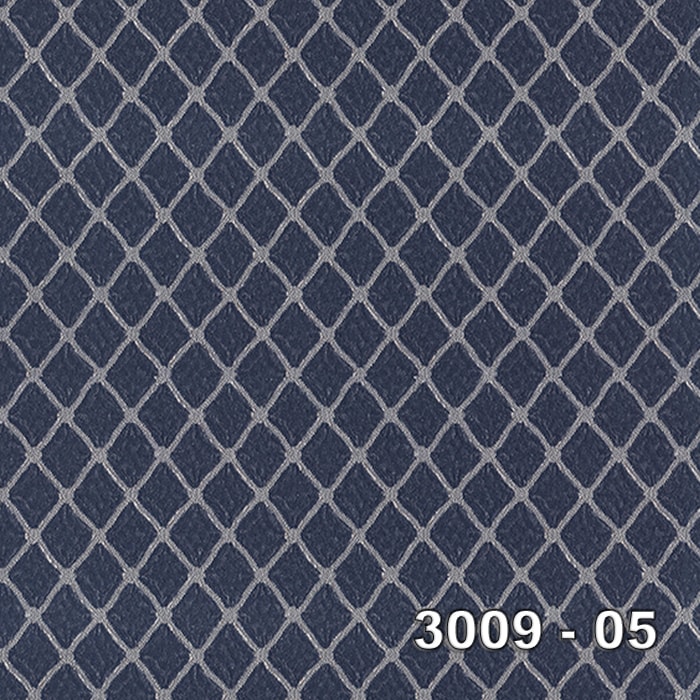 Armani 3009-05 3009-05