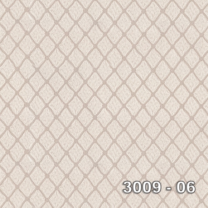 Armani 3009-06 3009-06