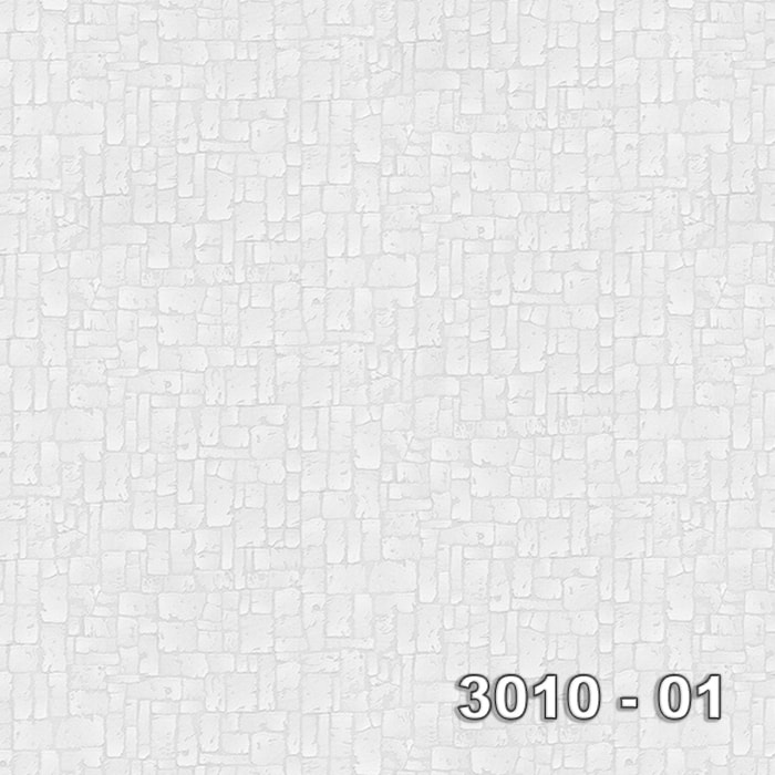 Armani 3010-01 3010-01