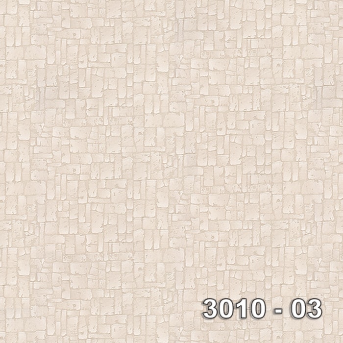 Armani 3010-03 3010-03