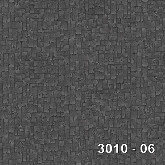 Armani 3010-06 3010-06