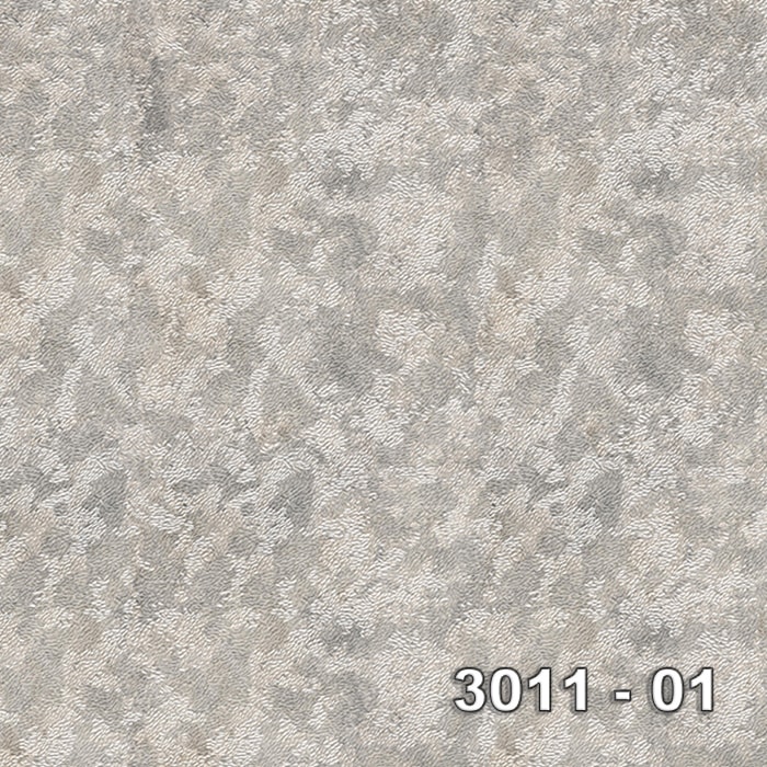 Armani 3011-01 3011-01