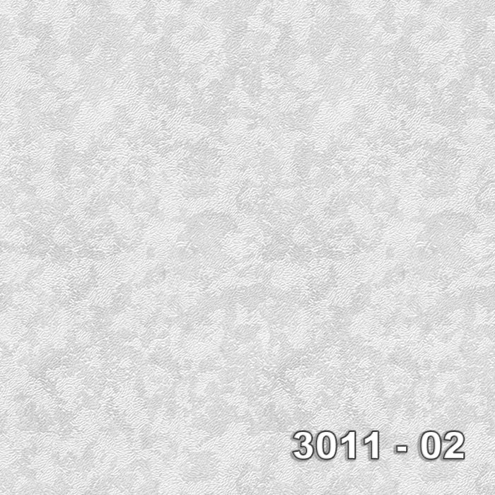 Armani 3011-02 3011-02