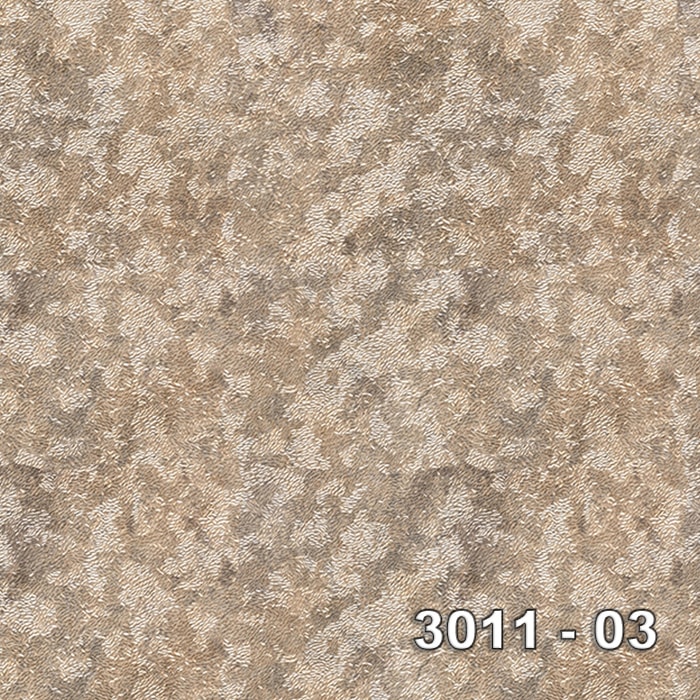 Armani 3011-03 3011-03