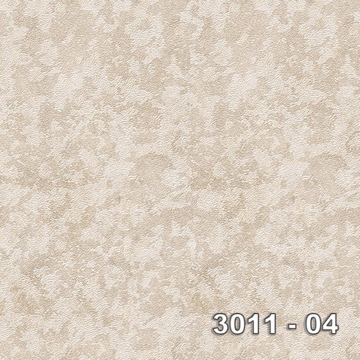 Armani 3011-04 3011-04